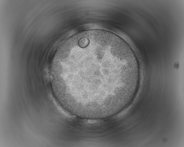 X0000112950857200910051217