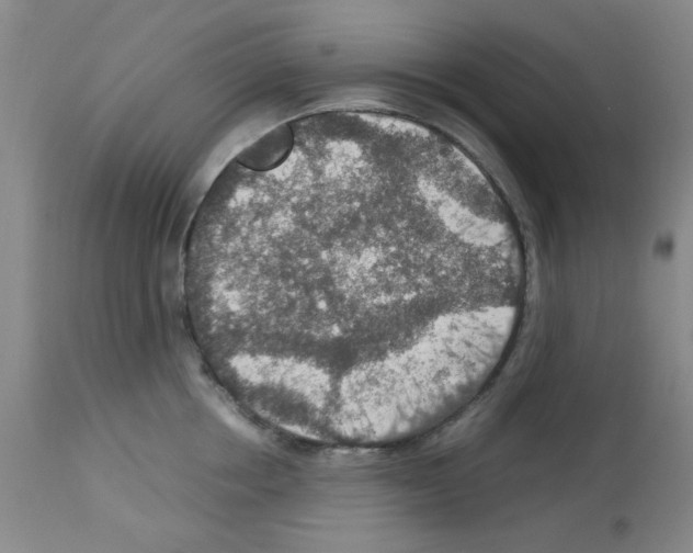 X0000112950858200910051217
