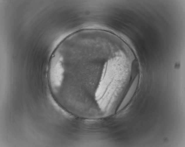 X0000112950863200910051217