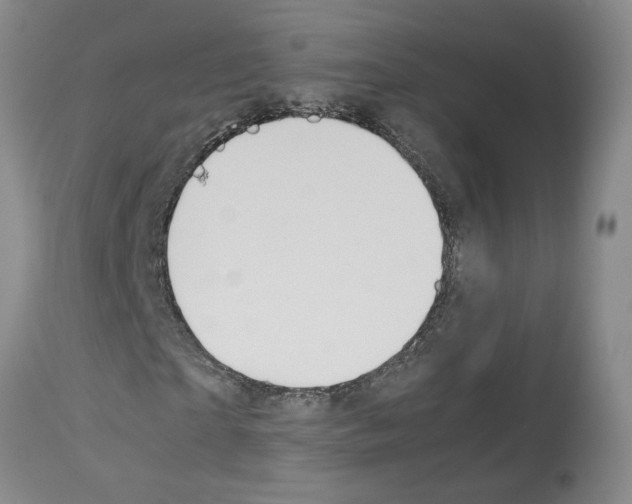 X0000112950865200910051216