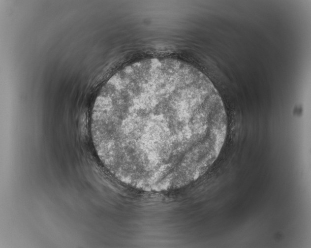 X0000112950866200910051216