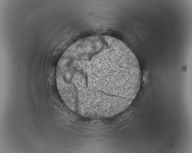X0000112950867200910051216