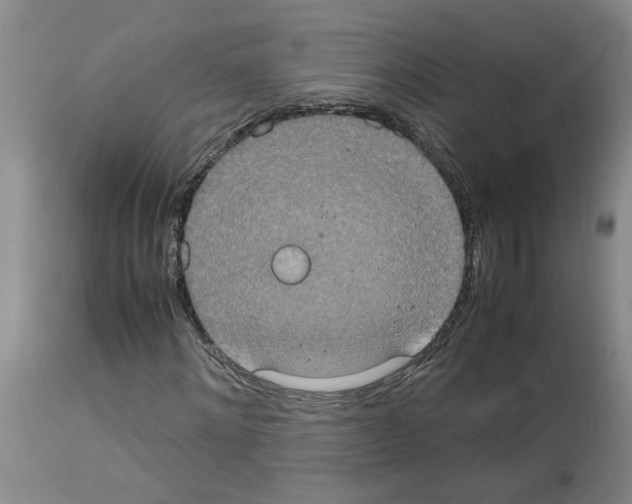 X0000112950868200910051216