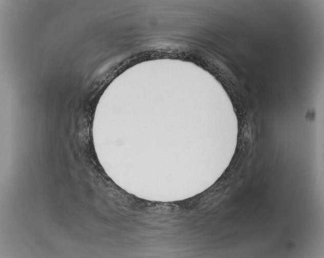 X0000112950869200910051216