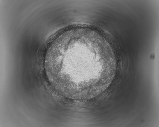 X0000112950870200910051216