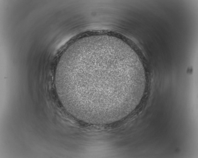 X0000112950871200910051216