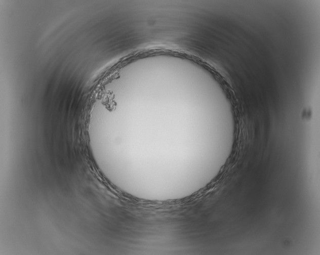 X0000112950872200910051216