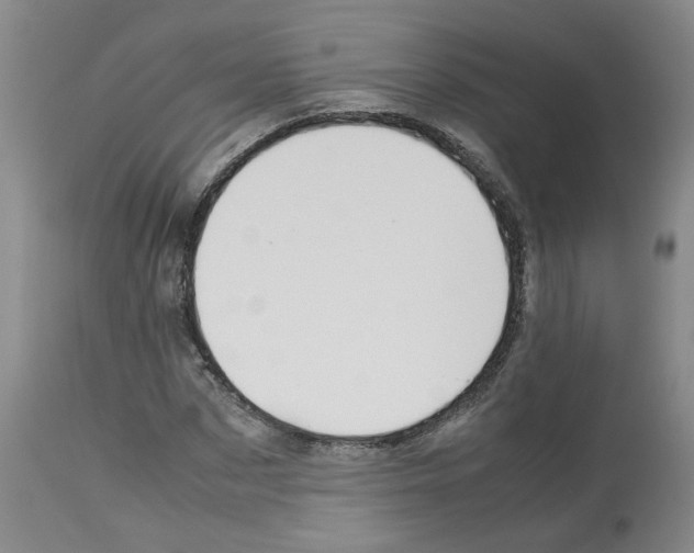 X0000112950873200910051216
