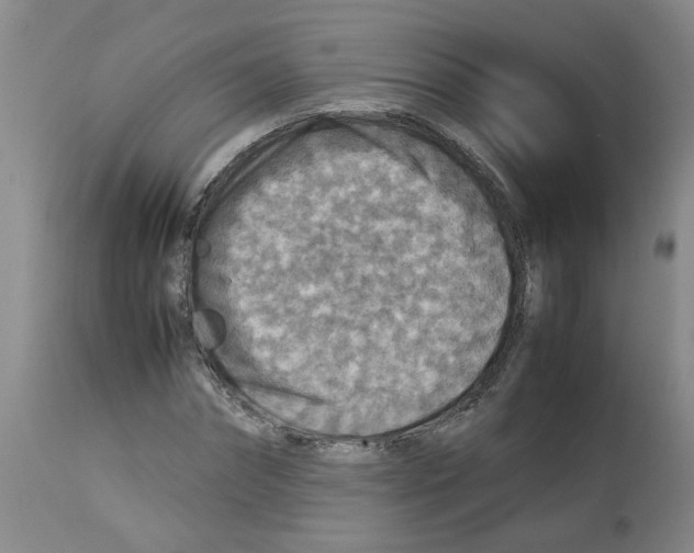 X0000112950874200910051216