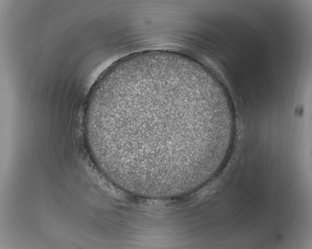 X0000112950875200910051216