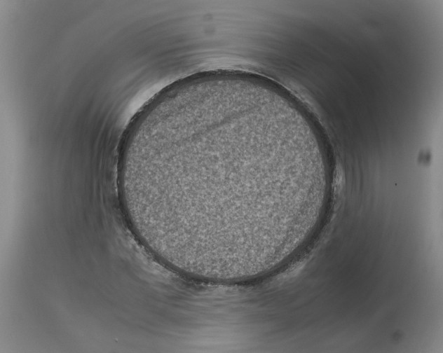 X0000112950877200910051216