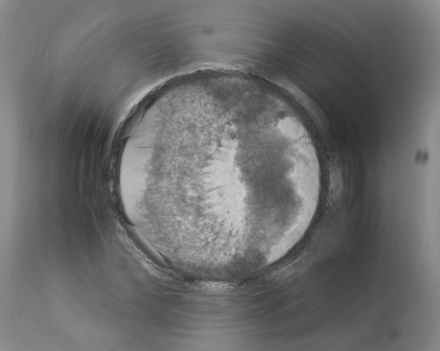 X0000112950878200910051216