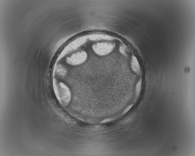 X0000112950879200910051216