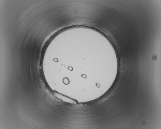 X0000112950880200910051216