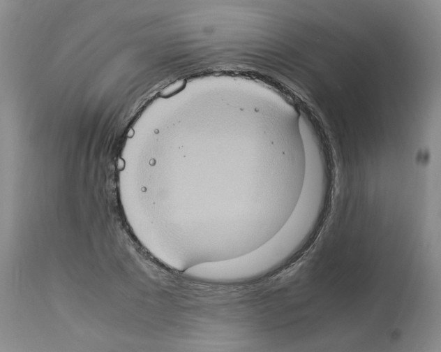 X0000112950881200910051216
