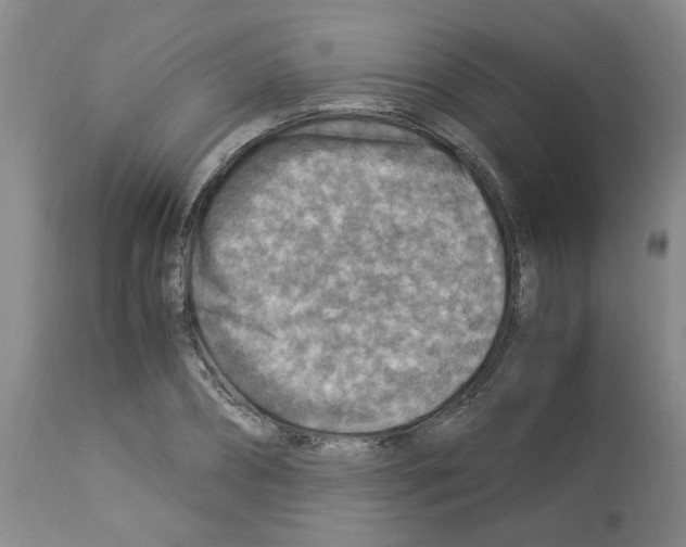 X0000112950882200910051216