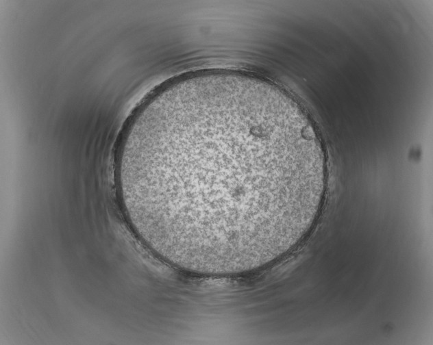 X0000112950883200910051216