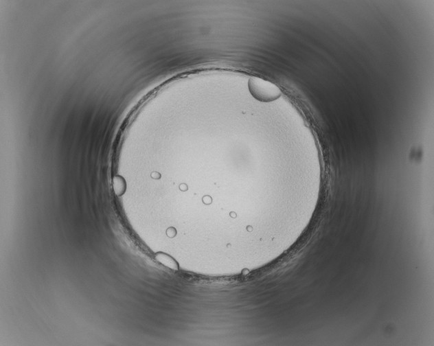 X0000112950884200910051216