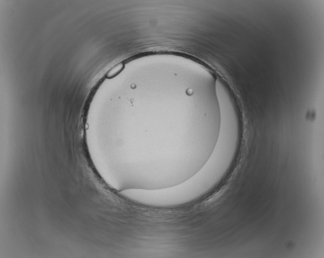 X0000112950885200910051216
