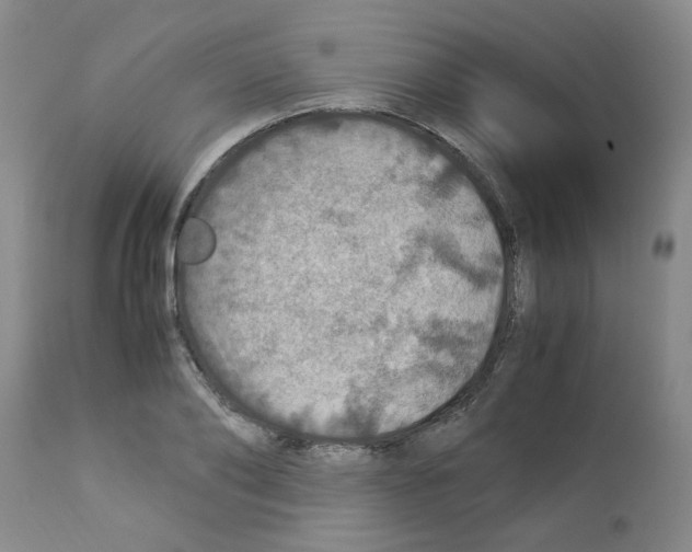 X0000112950886200910051216