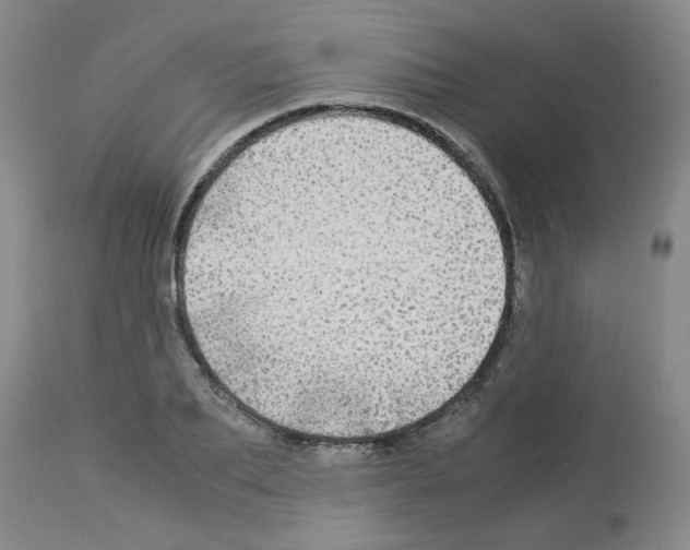X0000112950887200910051216