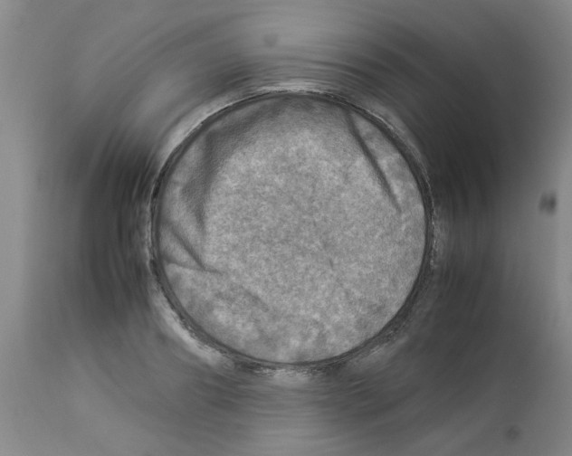 X0000112950890200910051216