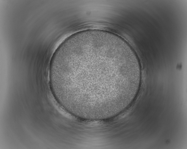 X0000112950891200910051216