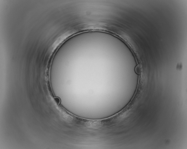 X0000112950893200910051216