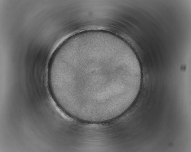 X0000112950894200910051216