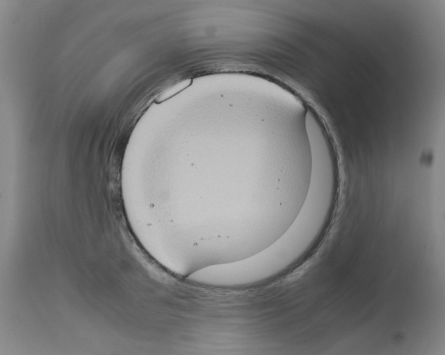 X0000112950897200910051216
