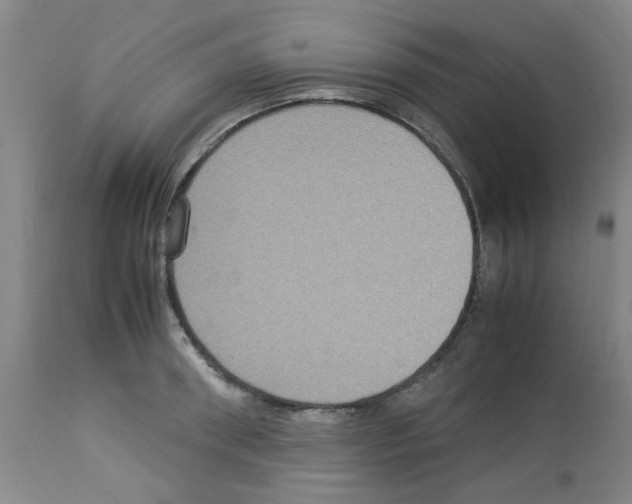 X0000112950898200910051216