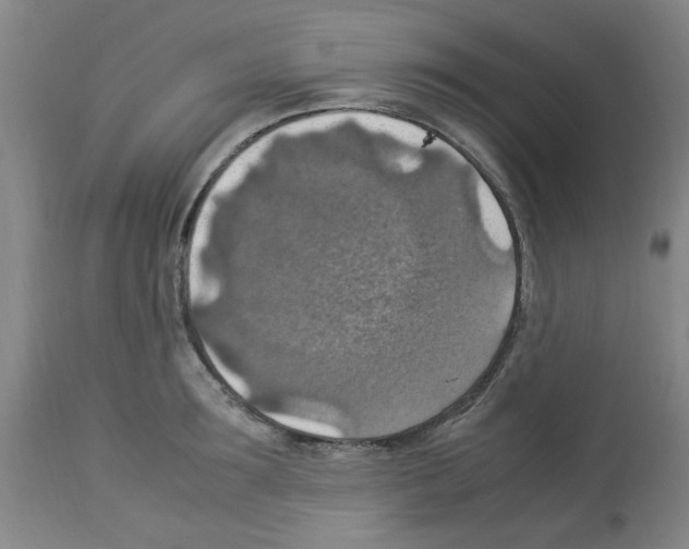 X0000112950899200910051216