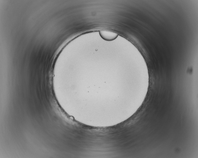 X0000112950900200910051216