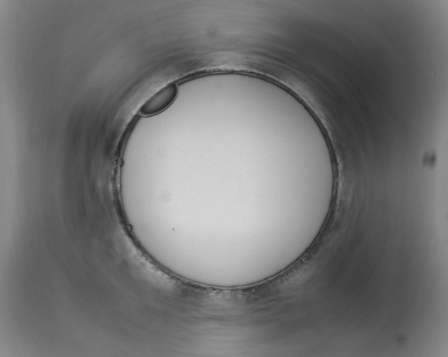 X0000112950901200910051216