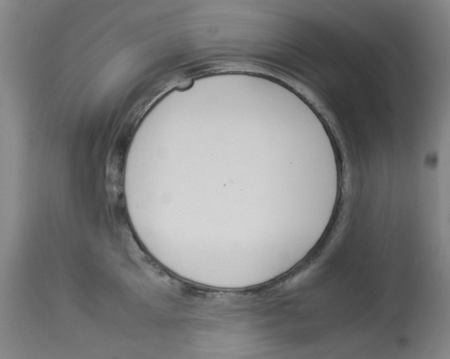 X0000112950905200910051216