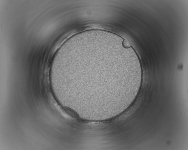 X0000112950906200910051216