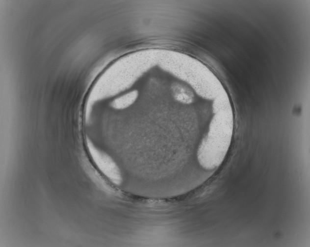 X0000112950907200910051216