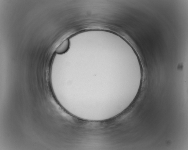 X0000112950909200910051216