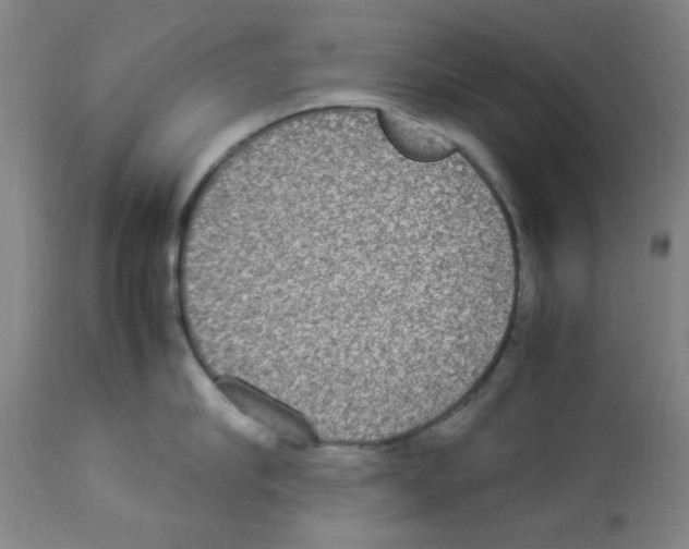 X0000112950910200910051215