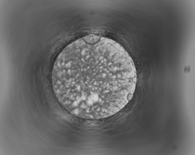 X0000112950913200910051215