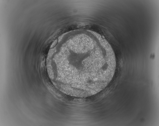 X0000112950914200910051215