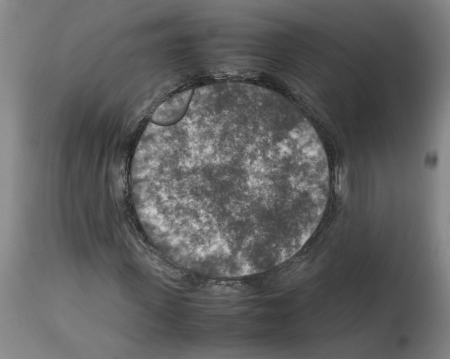 X0000112950915200910051215