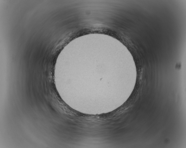 X0000112950916200910051215