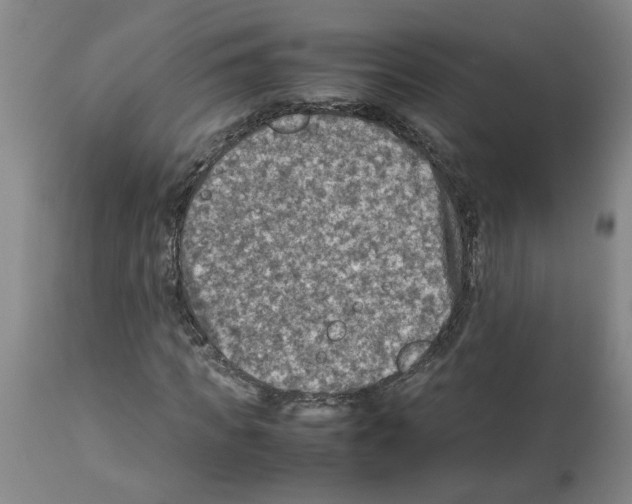 X0000112950917200910051215