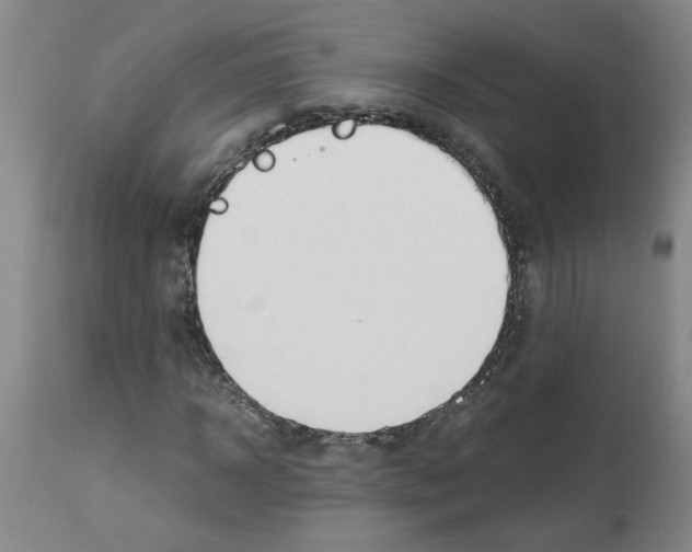 X0000112950918200910051215