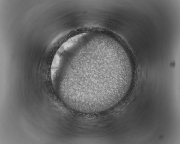 X0000112950919200910051215