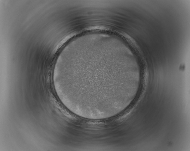 X0000112950921200910051215