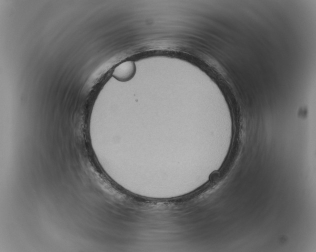 X0000112950922200910051215