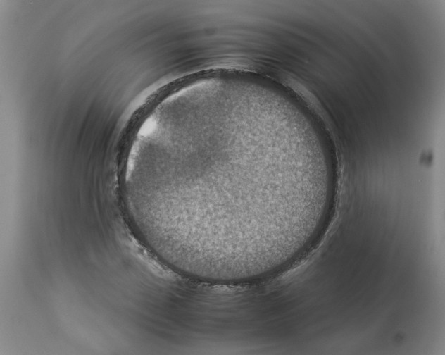 X0000112950923200910051215