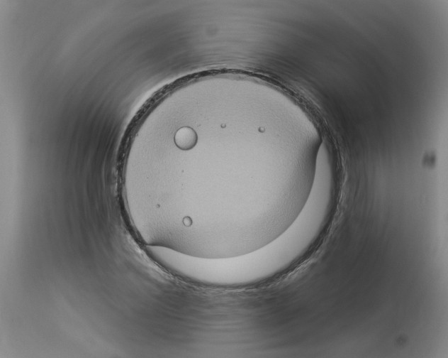 X0000112950924200910051215